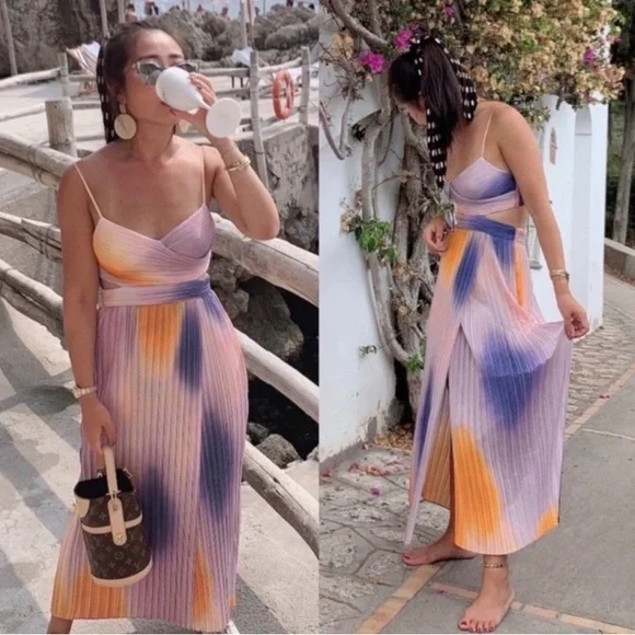 A.L.C. Sienna Ombre Dress in Multi Ombre Pleated in Size 6 - Picture 8 of 15